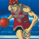 Illustration for article titled Summarizing the Shohoku-Ryonan Practice Game in Slam Dunkem/em